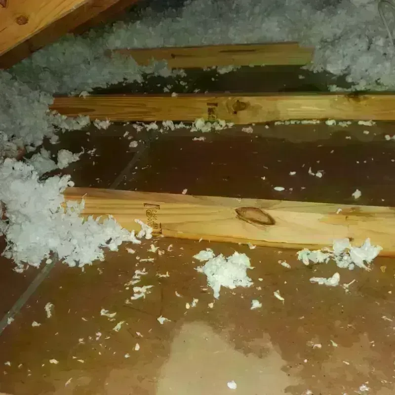 Attic Water Damage in Aviston, IL